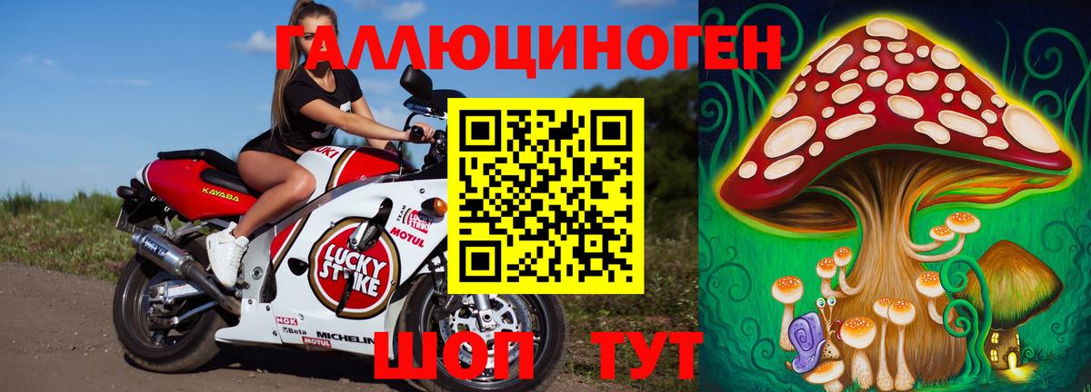Псилоцибиновые грибы Magic Shrooms  Вход с VPN  Улан-Удэ  Псилоцибиновые грибы GOLDEN TEACHER 